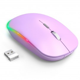 WisFox 2.4G Rechargeable Silent Wireless BT Mouse - RGB LED Ergonomic Mouse with 3 Modes (BT5.0/3.0+USB) - Perfect for Laptop, Desktop, Windows, Mac, IPad